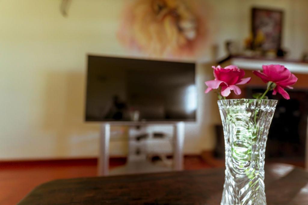 Fourways Junction Villa 1 ナイロビ エクステリア 写真